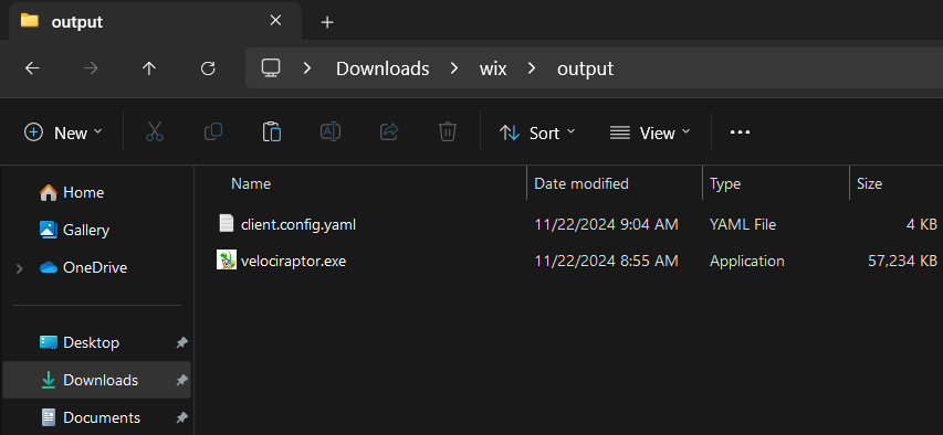 Copy the configuration file into the output directory